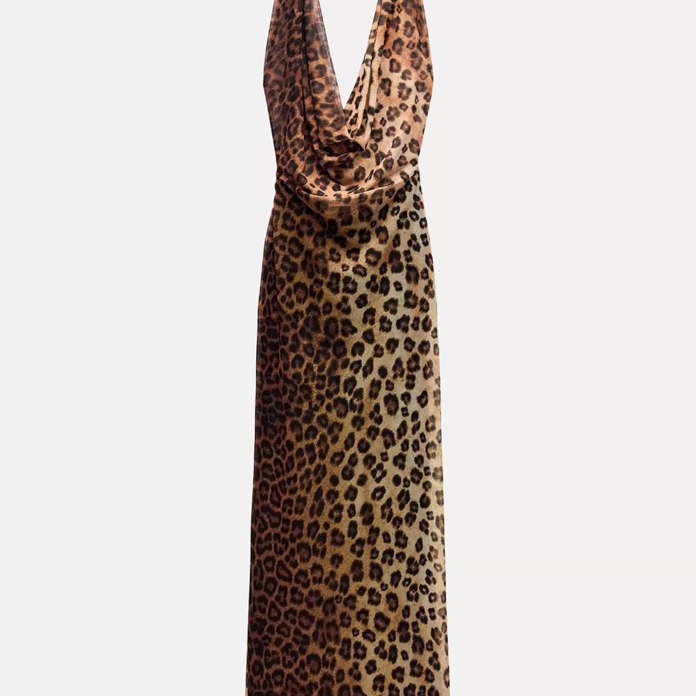Zara Animal Print Maxi Dress
